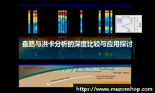 查路与洪卡分析的深度比较与应用探讨
