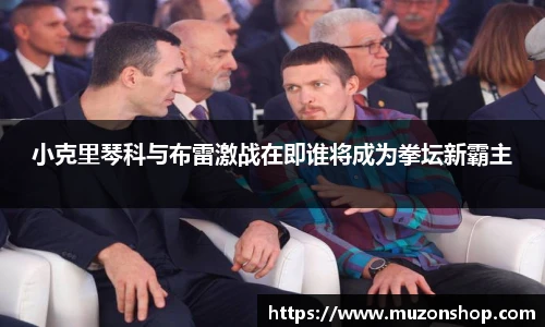 小克里琴科与布雷激战在即谁将成为拳坛新霸主
